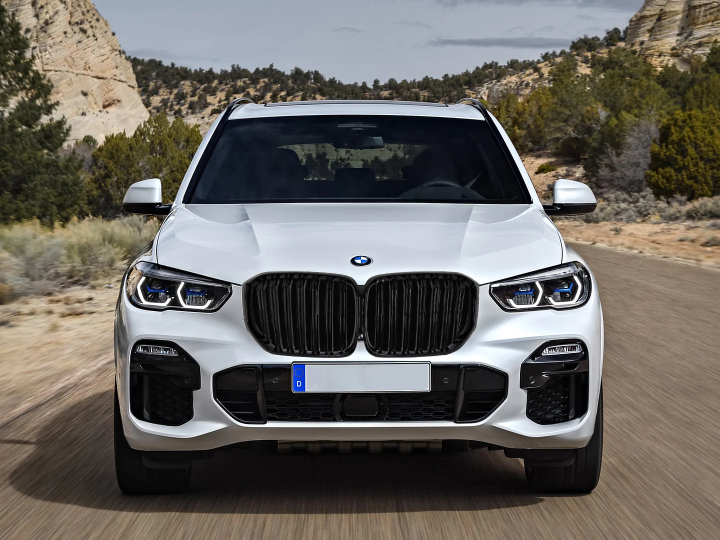 Kidney Grilles for 2019-22 BMW X5 G05 (Gloss Black Dual Slat) - Image 5